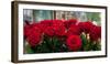 Close-Up of Red Roses in a Bouquet During Sant Jordi Festival, Barcelona, Catalonia, Spain-null-Framed Photographic Print