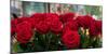 Close-Up of Red Roses in a Bouquet During Sant Jordi Festival, Barcelona, Catalonia, Spain-null-Mounted Photographic Print