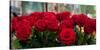 Close-Up of Red Roses in a Bouquet During Sant Jordi Festival, Barcelona, Catalonia, Spain-null-Stretched Canvas