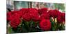 Close-Up of Red Roses in a Bouquet During Sant Jordi Festival, Barcelona, Catalonia, Spain-null-Mounted Premium Photographic Print
