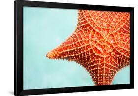 Close up of Red Starfish in a Tropical Water-BlueOrange Studio-Framed Photographic Print