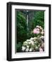 Close-up of Rhododendron flowers, Multnomah Falls, Columbia River Gorge National Scenic Area, Mu...-null-Framed Photographic Print