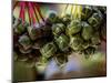 Close Up of Rice Balls Wrapped in Vine Leaves, Vietnam-Paul Harris-Mounted Photographic Print