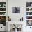 Close Up of Rock Climbing Equipment on a Female Climber, New York, USA-Paul Sutton-Mounted Photographic Print displayed on a wall