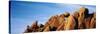 Close-Up of Rocks, Mojave Desert, Joshua Tree National Monument, California, USA-null-Stretched Canvas