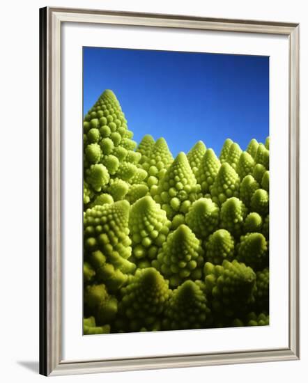 Close up of Romanesco-Peter Sapper-Framed Photographic Print