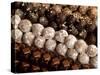 Close-Up of Rows of Chocolates in a French Cafe, France, Europe-Frank Fell-Stretched Canvas