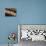 Close-Up of Rows of Chocolates in a French Cafe, France, Europe-Frank Fell-Photographic Print displayed on a wall