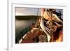 Close-Up of Sail and Rope on Boat, Culebra Island, Puerto Rico-null-Framed Photographic Print