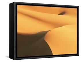 Close-Up of Sand Dunes in Erg Chebbi Sand Sea, Sahara Desert, Near Merzouga, Morocco-Lee Frost-Framed Stretched Canvas