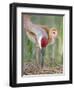 Close-up of Sandhill Crane and Chick at Nest, Indian Lake Estates, Florida, USA-Arthur Morris-Framed Premium Photographic Print