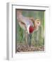 Close-up of Sandhill Crane and Chick at Nest, Indian Lake Estates, Florida, USA-Arthur Morris-Framed Premium Photographic Print