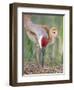 Close-up of Sandhill Crane and Chick at Nest, Indian Lake Estates, Florida, USA-Arthur Morris-Framed Photographic Print