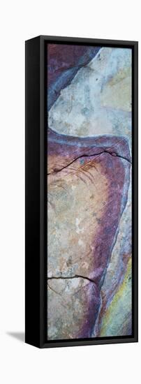 Close-up of sandstone rock formation, Mojave Desert, Las, Vegas, Nevada, USA-Panoramic Images-Framed Stretched Canvas