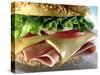 Close-up of Sandwich-ATU Studios-Stretched Canvas