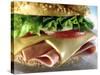 Close-up of Sandwich-ATU Studios-Stretched Canvas