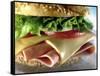 Close-up of Sandwich-ATU Studios-Framed Stretched Canvas