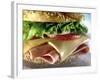 Close-up of Sandwich-ATU Studios-Framed Photographic Print