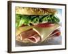 Close-up of Sandwich-ATU Studios-Framed Photographic Print