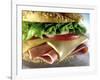 Close-up of Sandwich-ATU Studios-Framed Photographic Print