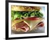 Close-up of Sandwich-ATU Studios-Framed Photographic Print