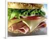 Close-up of Sandwich-ATU Studios-Framed Photographic Print