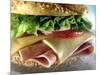 Close-up of Sandwich-ATU Studios-Mounted Photographic Print