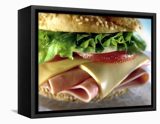 Close-up of Sandwich-ATU Studios-Framed Stretched Canvas