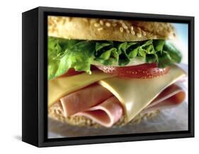 Close-up of Sandwich-ATU Studios-Framed Stretched Canvas