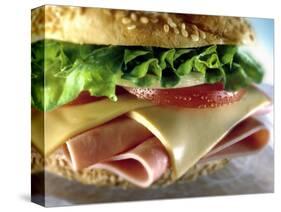 Close-up of Sandwich-ATU Studios-Stretched Canvas