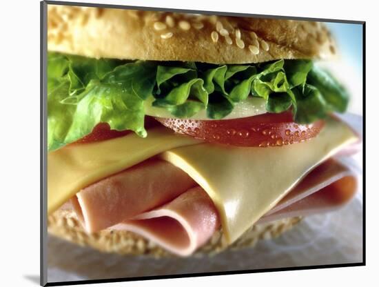 Close-up of Sandwich-ATU Studios-Mounted Photographic Print