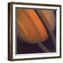 Close Up of Saturn's Rings, 1981-null-Framed Premium Giclee Print