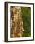 Close-Up of Sculpture, Bayon Temple, Dating From the 13Th Century, Angkor, Siem Reap, Cambodia-null-Framed Photographic Print