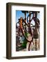 Close-up of shisha water pipes on Aqaba beach, Aqaba, Jordan-null-Framed Photographic Print