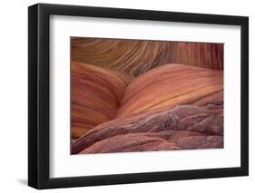 Close-up of sinuous eroded banded sandstone rocks, The Wave, Arizona-Bob Gibbons-Framed Photographic Print