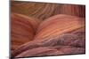 Close-up of sinuous eroded banded sandstone rocks, The Wave, Arizona-Bob Gibbons-Mounted Photographic Print