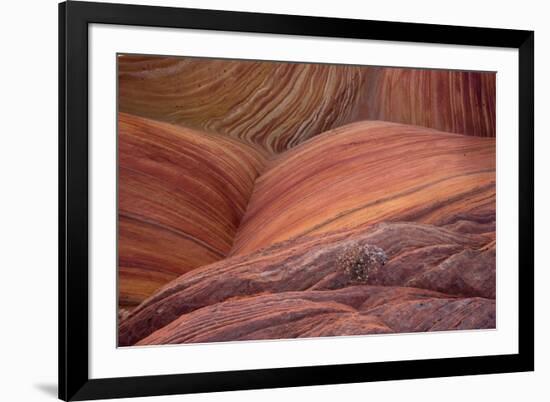 Close-up of sinuous eroded banded sandstone rocks, The Wave, Arizona-Bob Gibbons-Framed Photographic Print