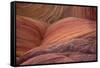 Close-up of sinuous eroded banded sandstone rocks, The Wave, Arizona-Bob Gibbons-Framed Stretched Canvas
