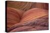 Close-up of sinuous eroded banded sandstone rocks, The Wave, Arizona-Bob Gibbons-Stretched Canvas