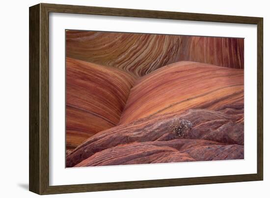 Close-up of sinuous eroded banded sandstone rocks, The Wave, Arizona-Bob Gibbons-Framed Photographic Print