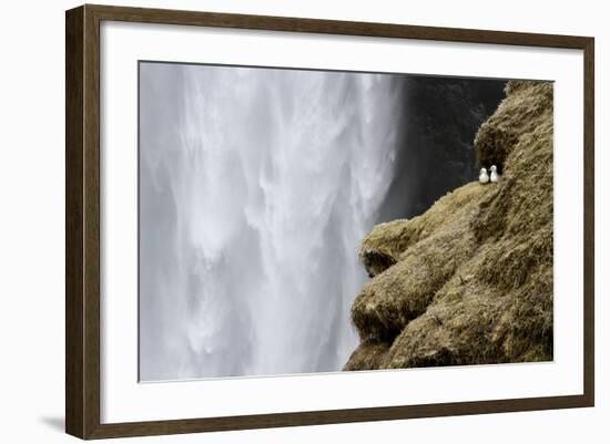 Close-up of Skogafoss waterfall, Iceland.-Bill Young-Framed Photographic Print