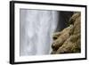 Close-up of Skogafoss waterfall, Iceland.-Bill Young-Framed Photographic Print