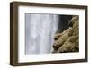 Close-up of Skogafoss waterfall, Iceland.-Bill Young-Framed Photographic Print