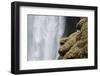 Close-up of Skogafoss waterfall, Iceland.-Bill Young-Framed Photographic Print