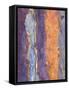 Close Up of Slate, Easdale, Scotland, UK-Niall Benvie-Framed Stretched Canvas