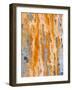 Close Up of Slate, Easdale, Scotland, UK-Niall Benvie-Framed Photographic Print