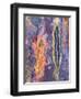 Close Up of Slate, Easdale, Scotland, UK-Niall Benvie-Framed Photographic Print