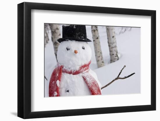 Close-Up Of Snowman Wearing A Scarf And Black Top Hat, Anchorage-Design Pics-Framed Photographic Print