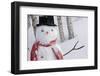 Close-Up Of Snowman Wearing A Scarf And Black Top Hat, Anchorage-Design Pics-Framed Photographic Print
