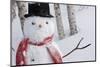 Close-Up Of Snowman Wearing A Scarf And Black Top Hat, Anchorage-Design Pics-Mounted Photographic Print